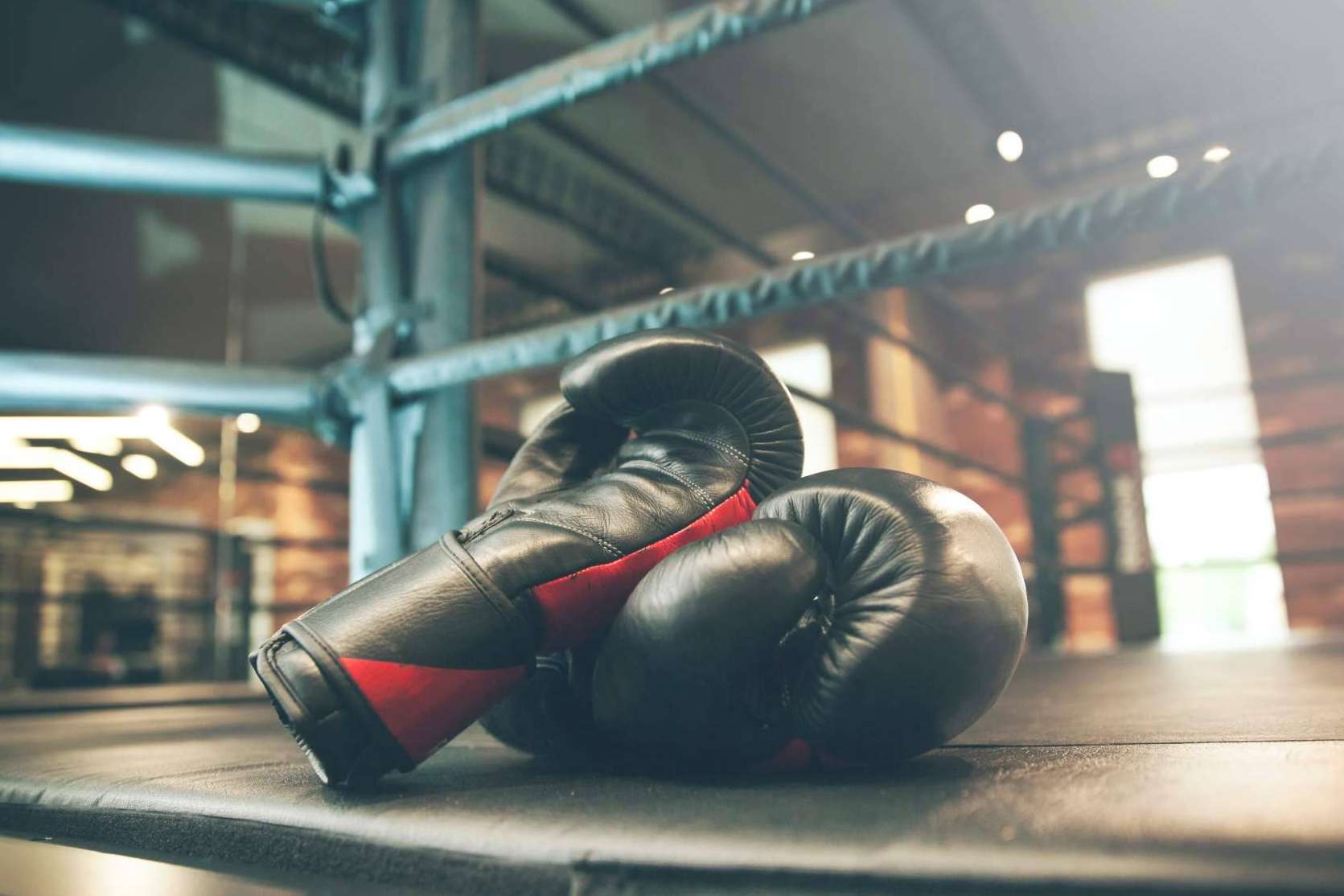 Mis Guantes de Boxeo ayuda a comprar guantes de boxeo adecuados