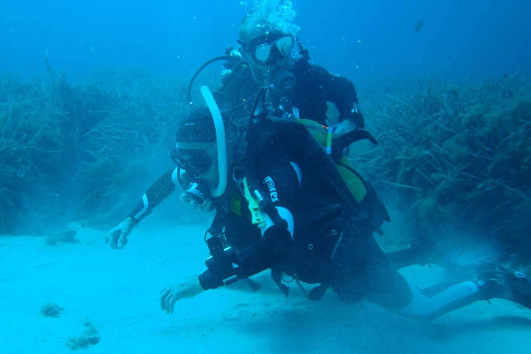 Scuba Plus, cursos de perfeccionamiento de buceo