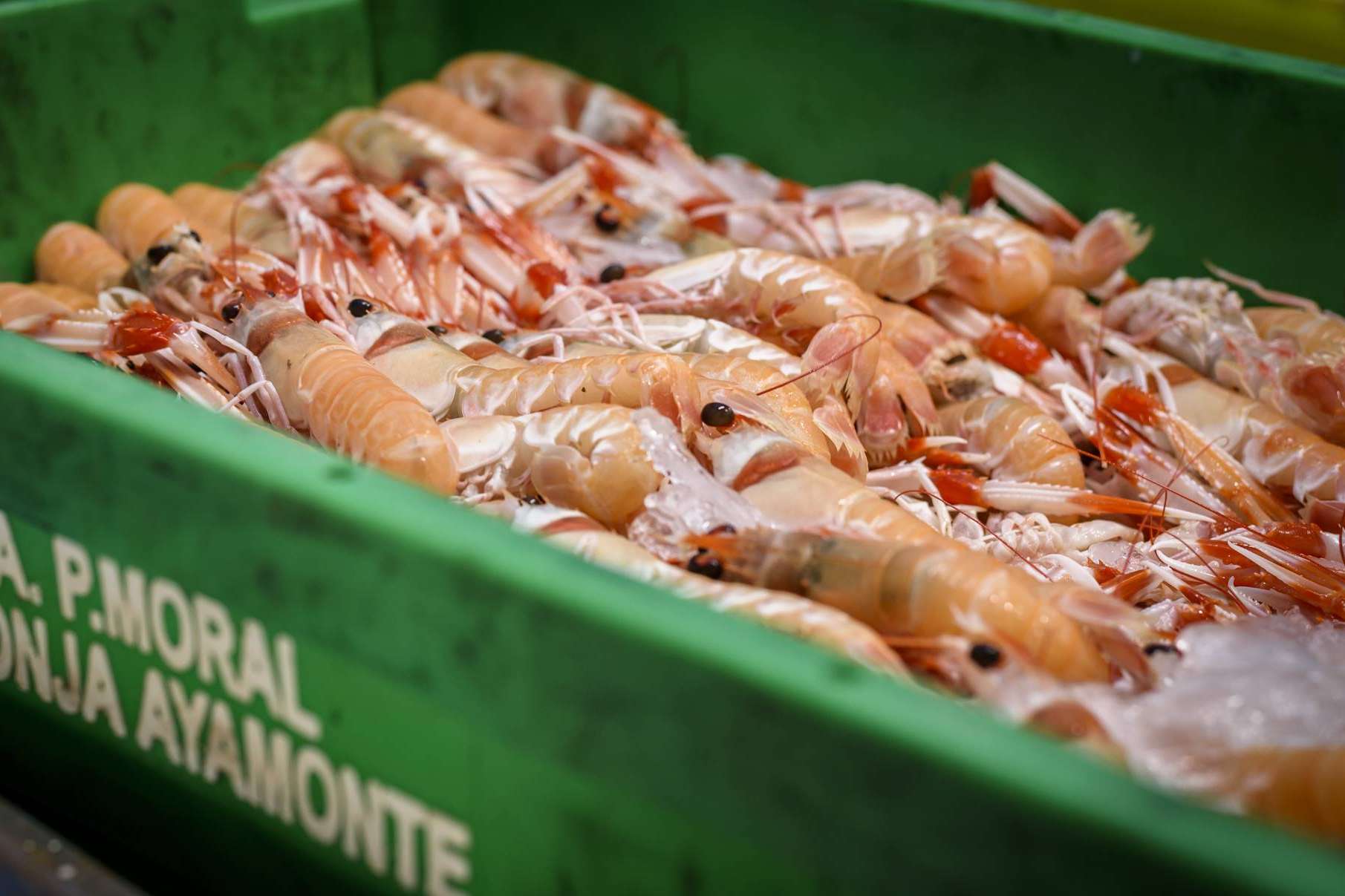 Las ventajas de comprar marisco para Navidad, con Lonja de Ayamonte