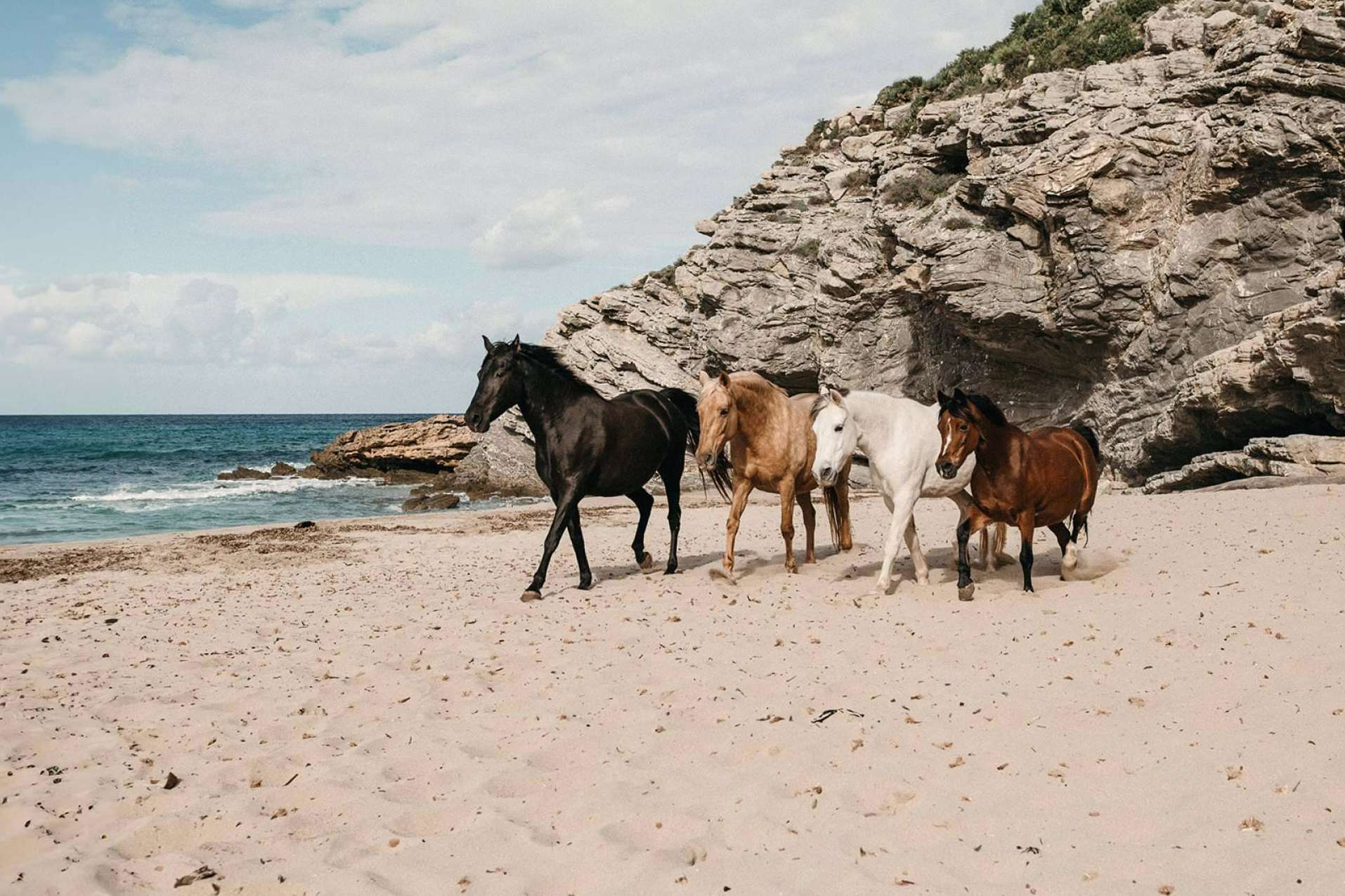 Son Cavalls, desarrollo personal a medida
