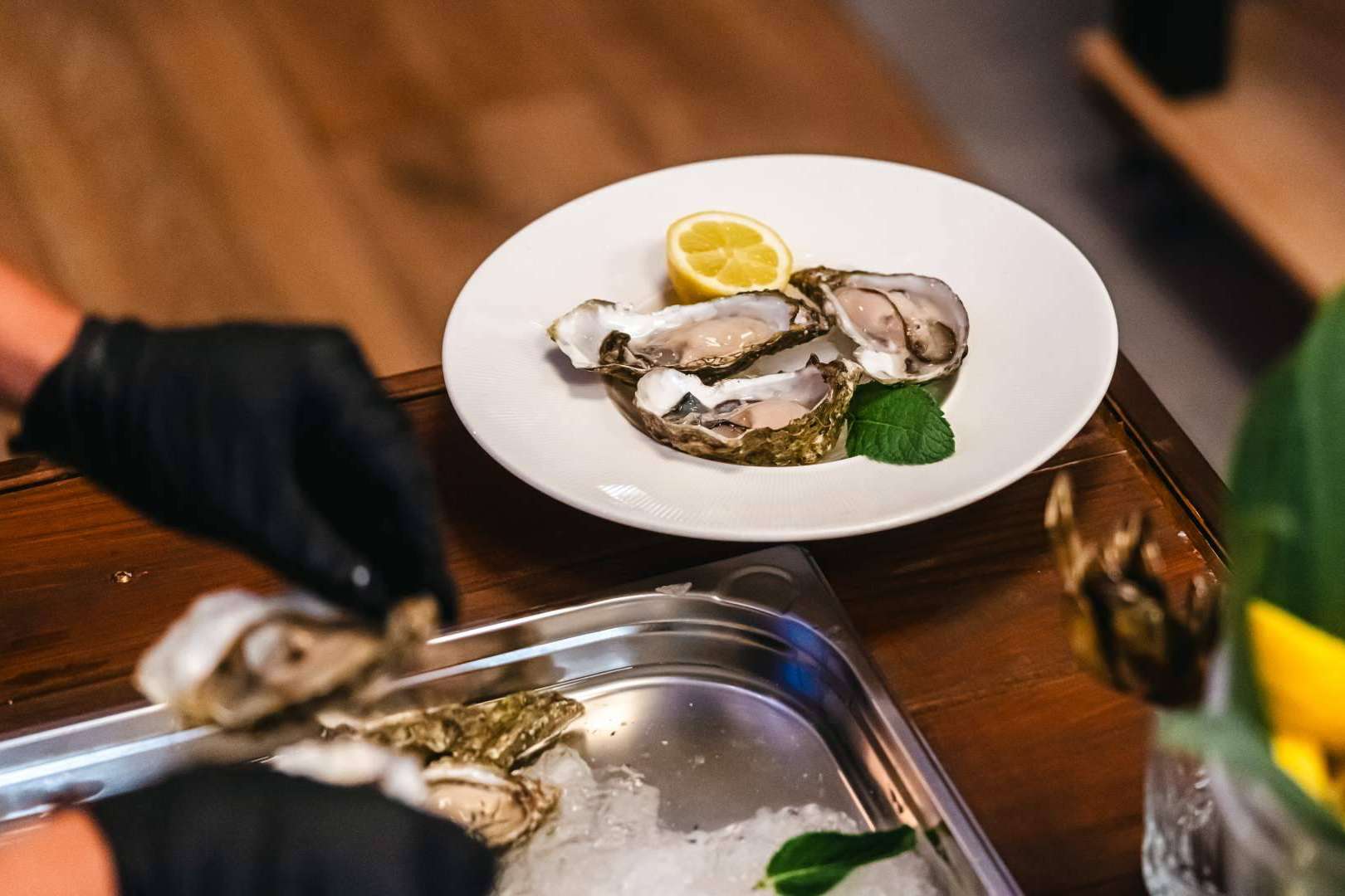 Exclusividad y Excelencia; La Gastronomía de Murcia es Transformada por La Claire Oysters y Albaladejo.
