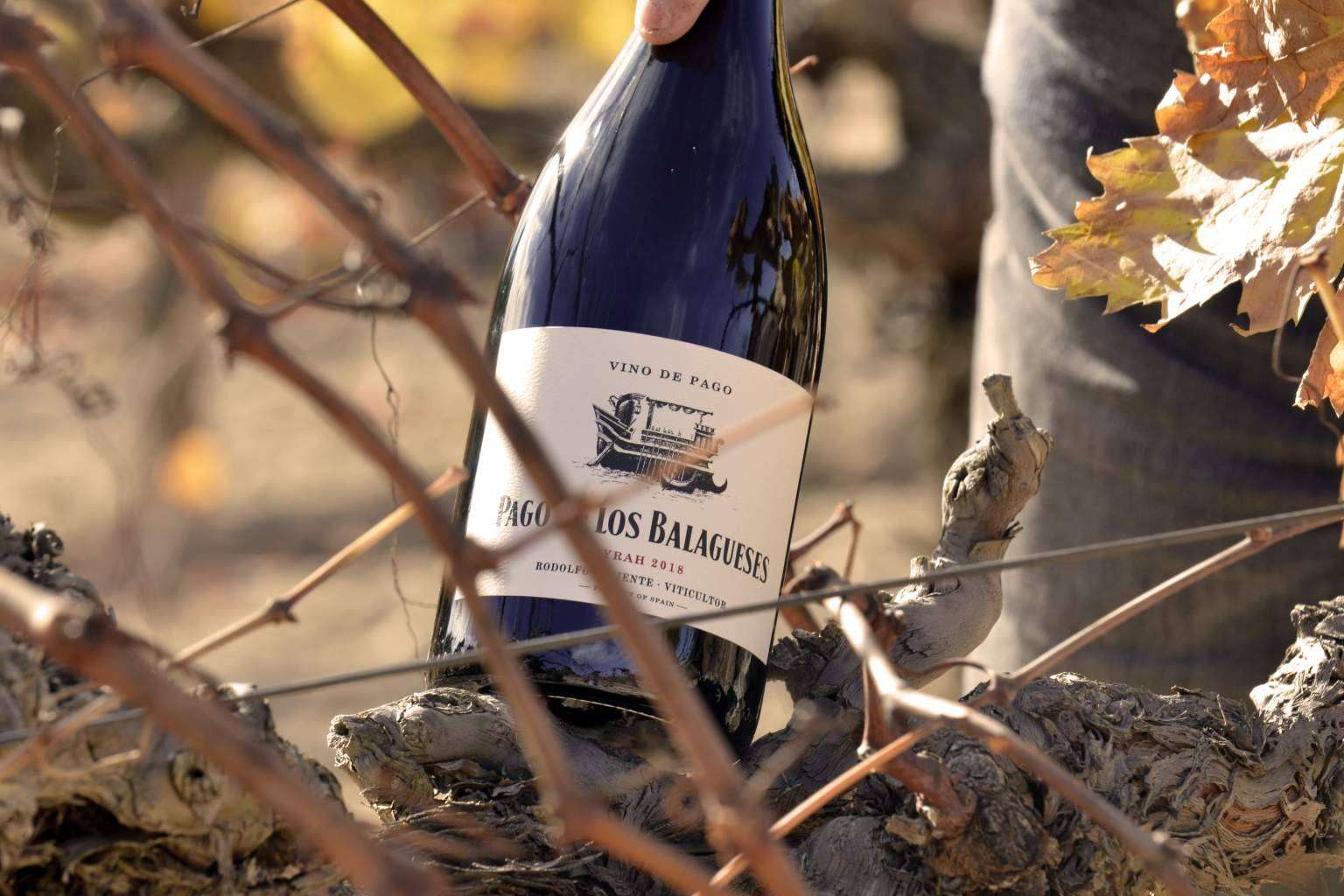 Las Bodegas Vegalfaro ofrecen una experiencia única mediante sus vinos de excelencia con compromiso ecológico