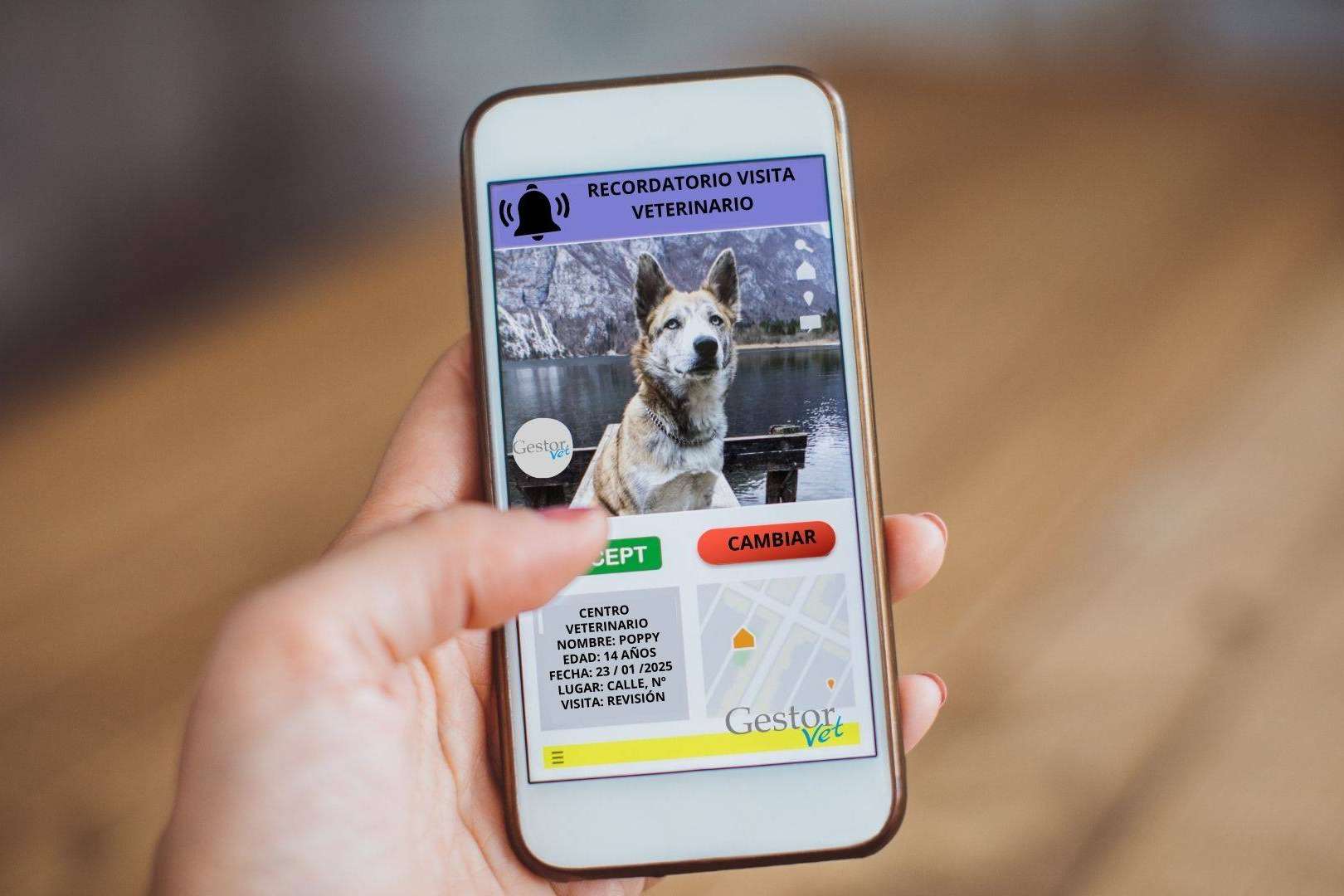La revolución digital en las clínicas veterinarias; impulsando la gestión de la información