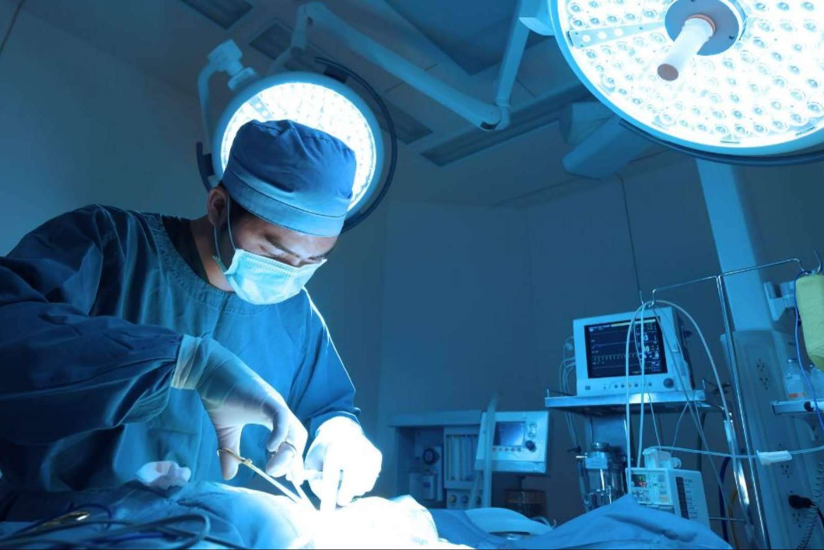 GestorVet, la Solución Idónea para una Gestión Veterinaria ajustada a la Normativa