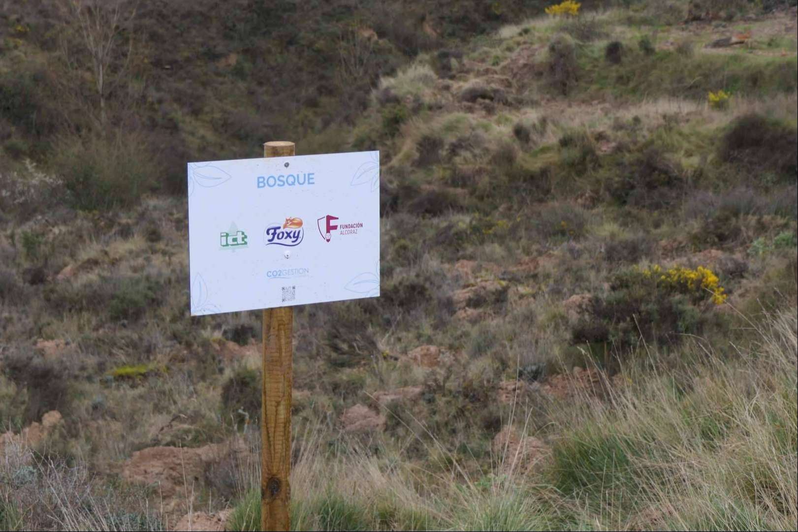 Foxy y la Fundación Alcoraz consolidan su compromiso ambiental con su 12º bosque en La Rioja