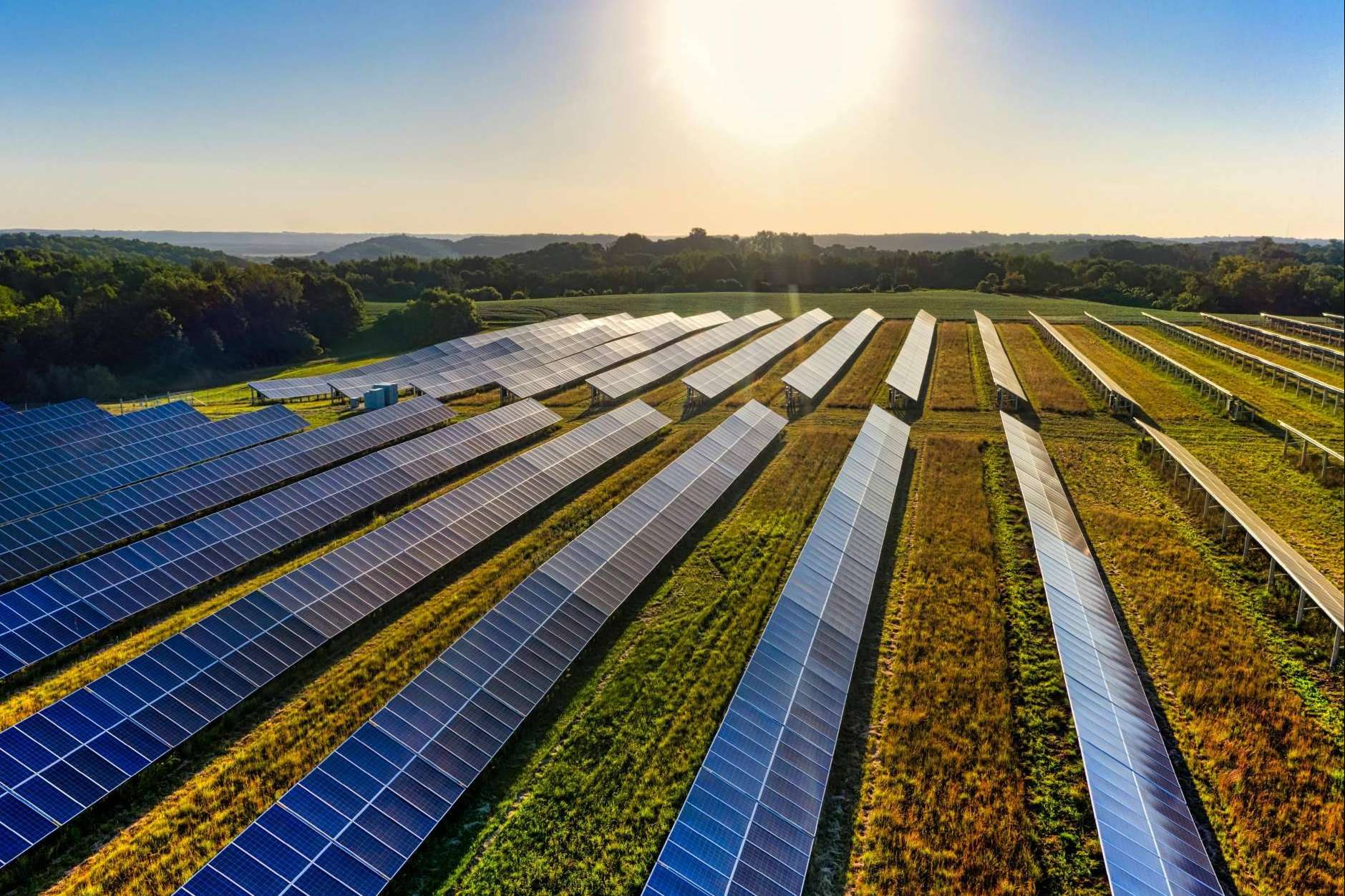 AleaSoft; Gas y petróleo registran caídas históricas mientras la fotovoltaica alcanza récords