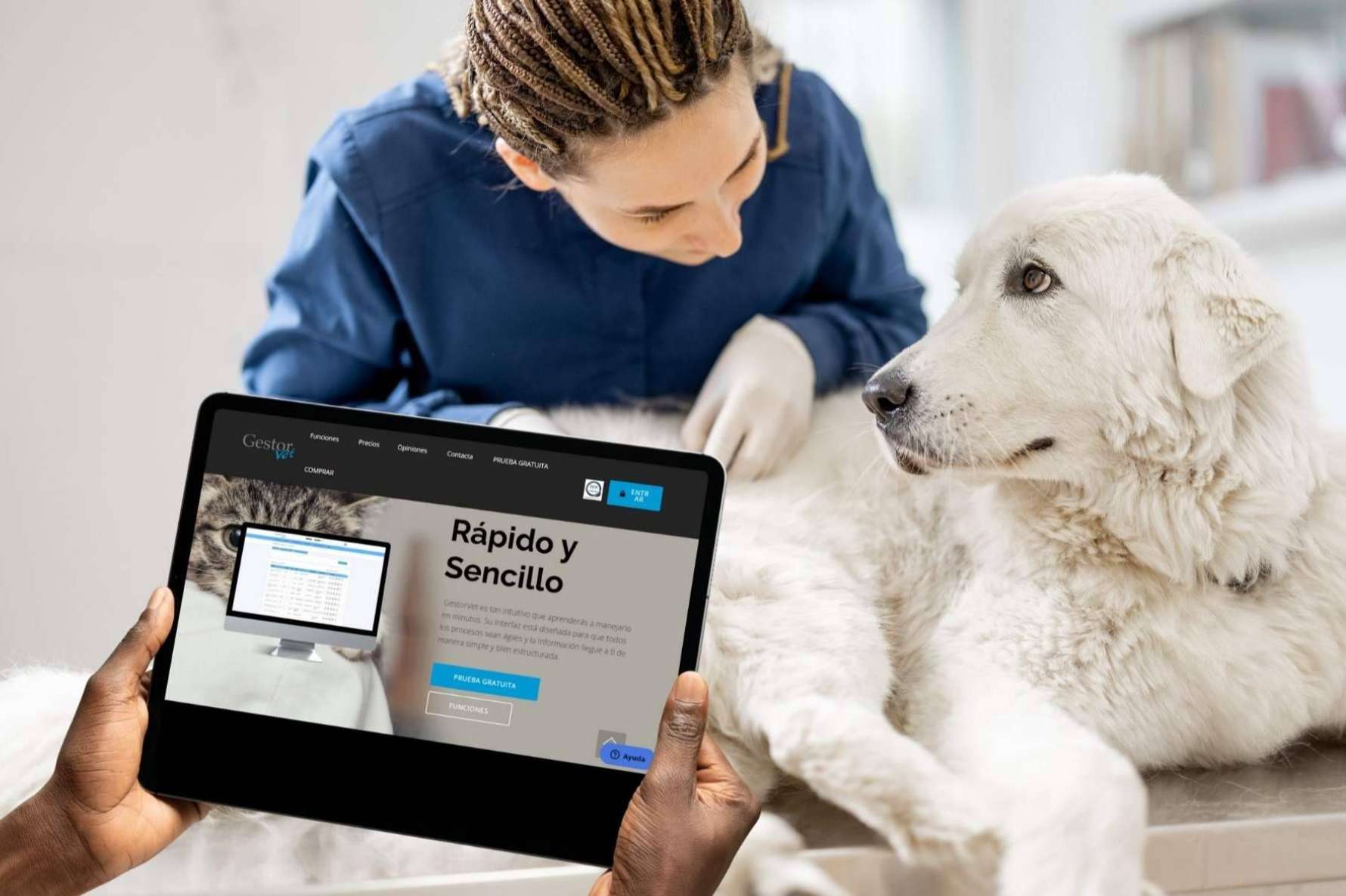 GestorVet; el software idóneo para cumplir la nueva normativa de gestión veterinaria en España