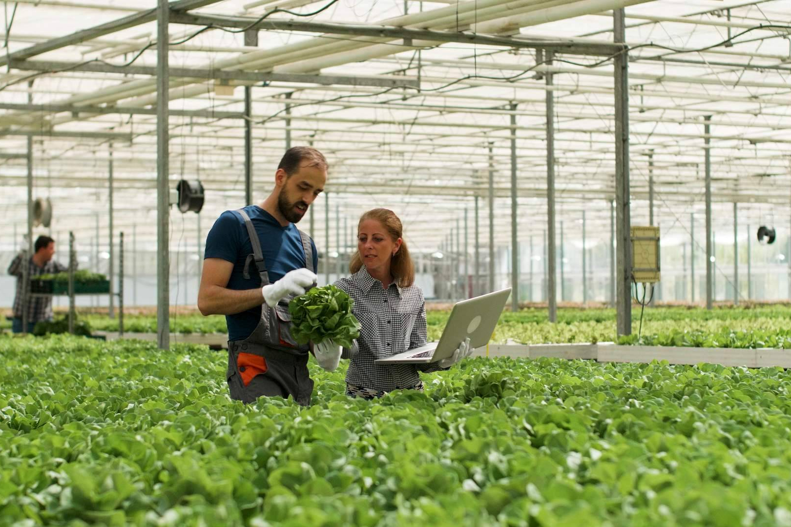 Siete de cada diez pymes rechazan la inversión más rentable sin saberlo